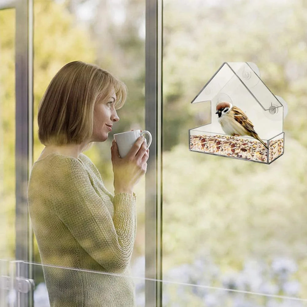 Clear Glass Window Bird Feeder